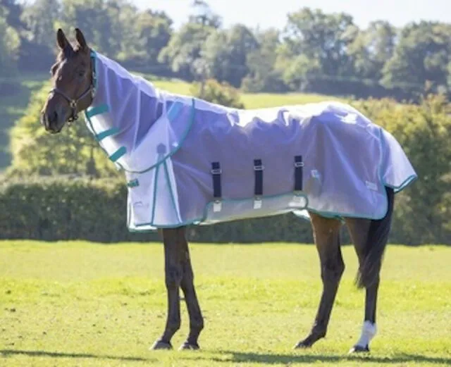 Highlander Plus Fine Mesh Fly Sheet and Neck
