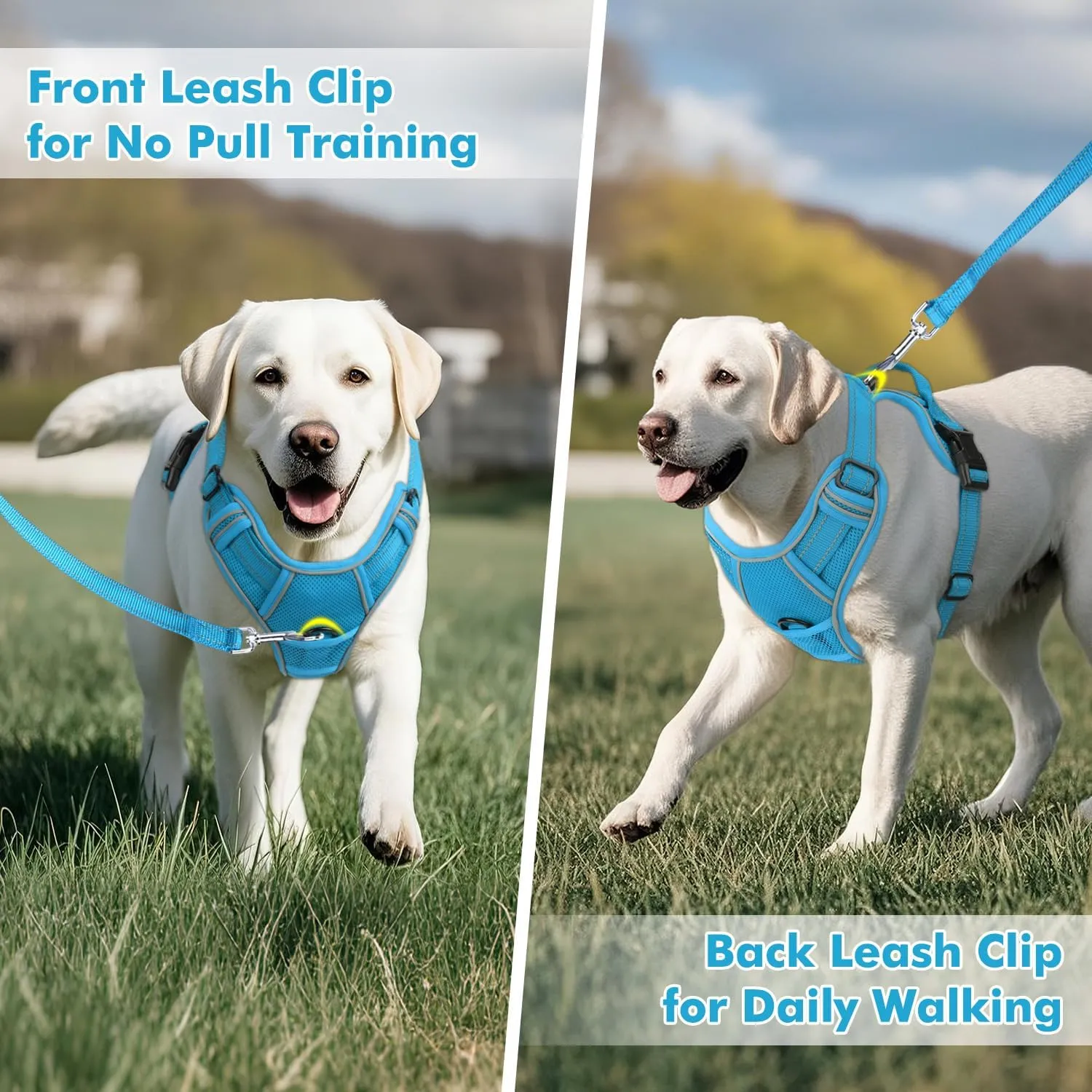 Joytale Step-in No Pull Dog Harness for Large Dogs with 2 Leash Clips, Reflective Pet Vest with Easy Control Handle, Adjustable Soft Padded Harness for Walking and Training, Aqua Blue,L