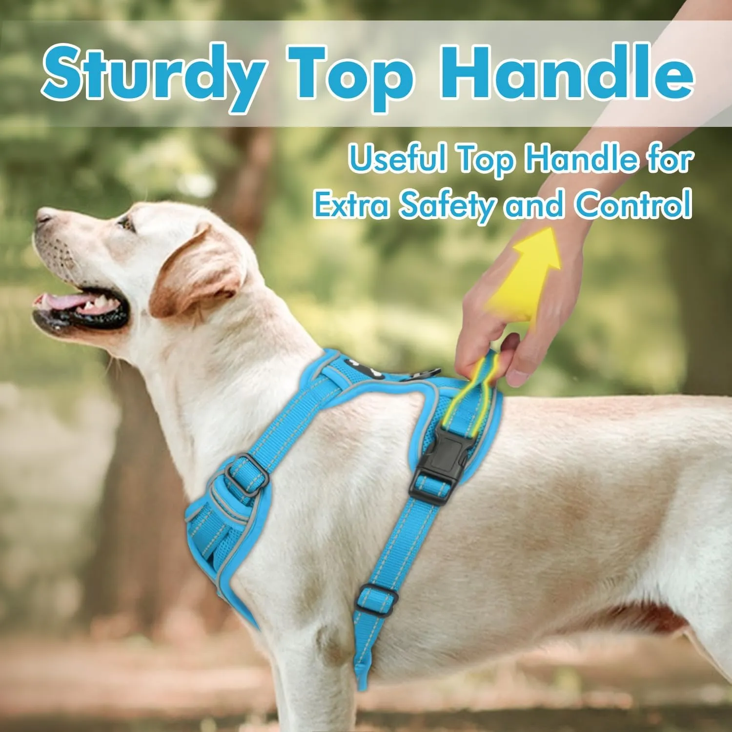 Joytale Step-in No Pull Dog Harness for Large Dogs with 2 Leash Clips, Reflective Pet Vest with Easy Control Handle, Adjustable Soft Padded Harness for Walking and Training, Aqua Blue,L