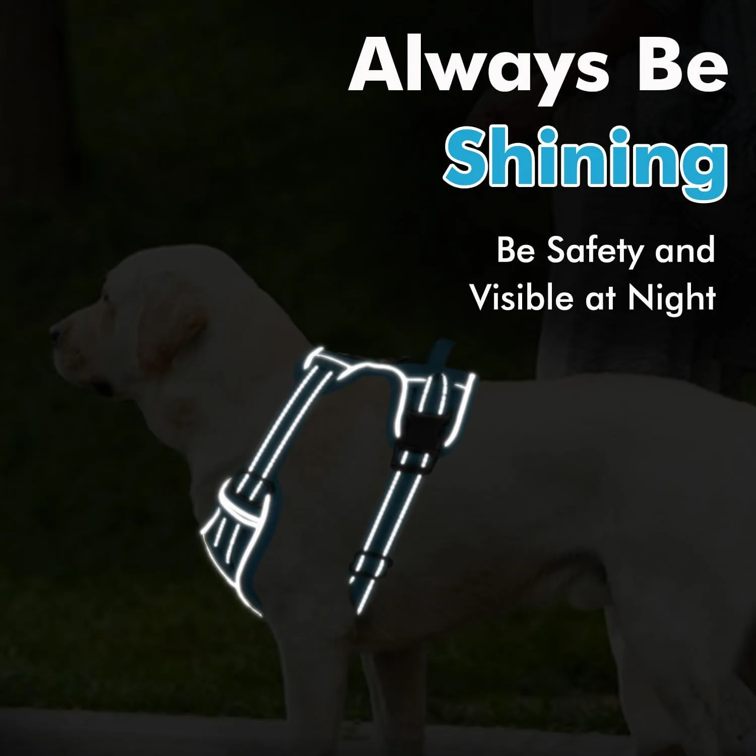 Joytale Step-in No Pull Dog Harness for Large Dogs with 2 Leash Clips, Reflective Pet Vest with Easy Control Handle, Adjustable Soft Padded Harness for Walking and Training, Aqua Blue,L