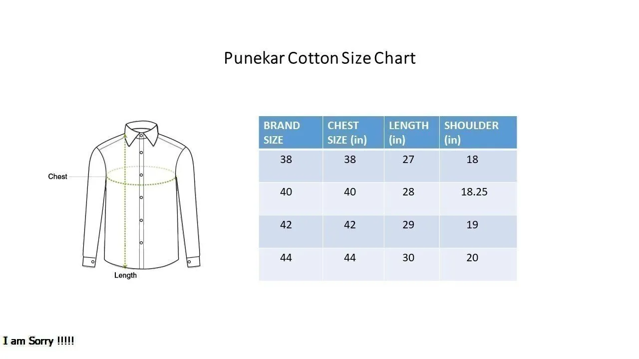 White Color Blended Linen Shirt For Men's